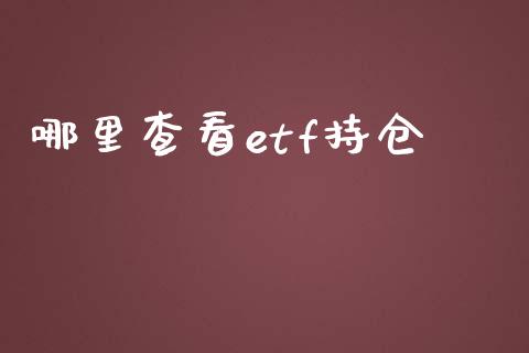 哪里查看etf持仓_https://m.gongyisiwang.com_商业资讯_第1张