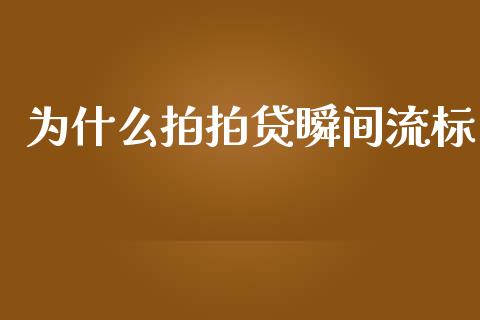 为什么拍拍贷瞬间流标_https://m.gongyisiwang.com_信托投资_第1张