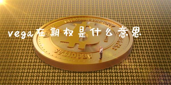 vega在期权是什么意思_https://m.gongyisiwang.com_财经咨询_第1张