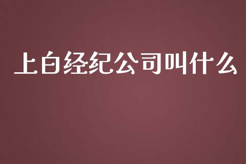 上白经纪公司叫什么_https://m.gongyisiwang.com_保险理财_第1张