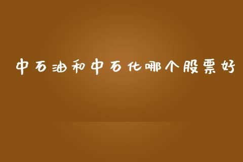 中石油和中石化哪个股票好_https://m.gongyisiwang.com_债券咨询_第1张