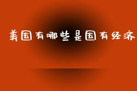 美国有哪些是国有经济_https://m.gongyisiwang.com_理财产品_第1张