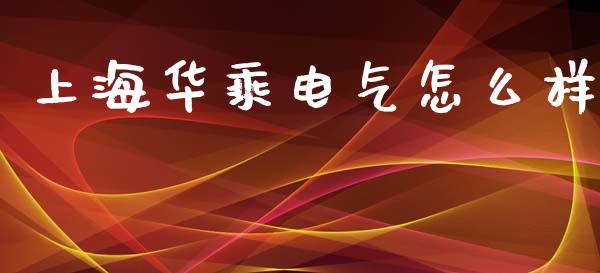 上海华乘电气怎么样_https://m.gongyisiwang.com_保险理财_第1张