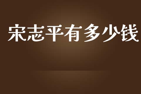 宋志平有多少钱_https://m.gongyisiwang.com_理财产品_第1张