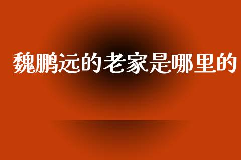 魏鹏远的老家是哪里的_https://m.gongyisiwang.com_保险理财_第1张