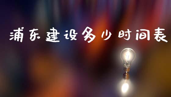 浦东建设多少时间表_https://m.gongyisiwang.com_保险理财_第1张