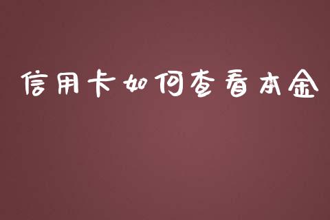 信用卡如何查看本金_https://m.gongyisiwang.com_信托投资_第1张