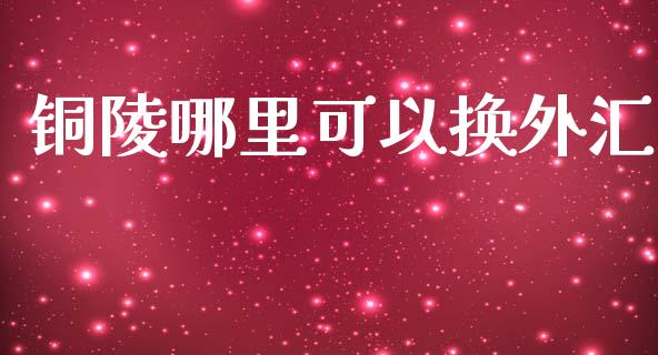 铜陵哪里可以换外汇_https://m.gongyisiwang.com_理财投资_第1张