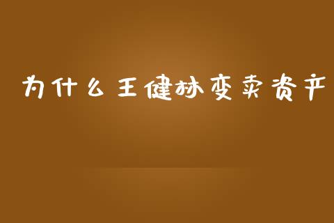 为什么王健林变卖资产_https://m.gongyisiwang.com_商业资讯_第1张