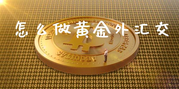 怎么做黄金外汇交_https://m.gongyisiwang.com_财经时评_第1张