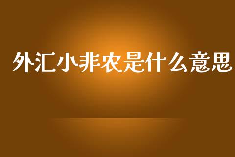 外汇小非农是什么意思_https://m.gongyisiwang.com_保险理财_第1张