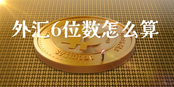 外汇6位数怎么算_https://m.gongyisiwang.com_信托投资_第1张