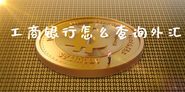 工商银行怎么查询外汇_https://m.gongyisiwang.com_信托投资_第1张