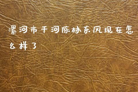 漯河市干河陈林东风现在怎么样了_https://m.gongyisiwang.com_财经时评_第1张