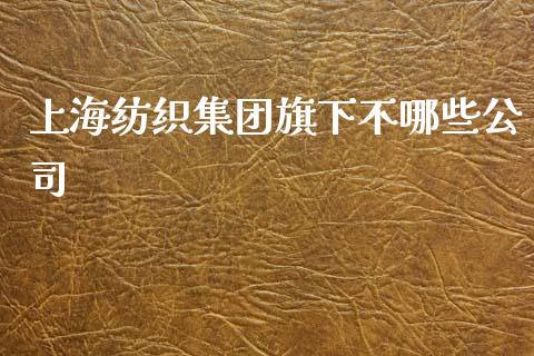 上海纺织集团旗下不哪些公司_https://m.gongyisiwang.com_财经时评_第1张