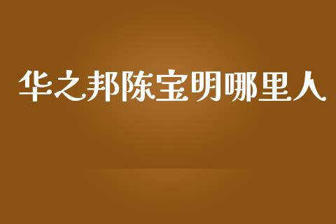 华之邦陈宝明哪里人_https://m.gongyisiwang.com_财经时评_第1张