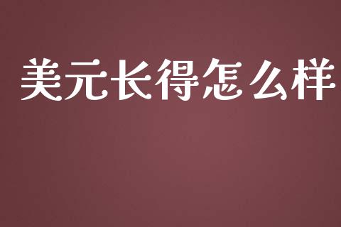 美元长得怎么样_https://m.gongyisiwang.com_财经时评_第1张