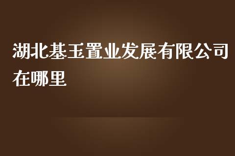 湖北基玉置业发展有限公司在哪里_https://m.gongyisiwang.com_财经咨询_第1张