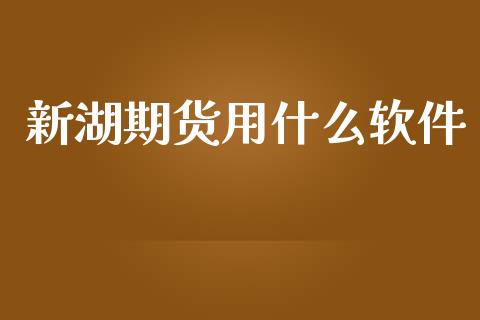 新湖期货用什么软件_https://m.gongyisiwang.com_商业资讯_第1张