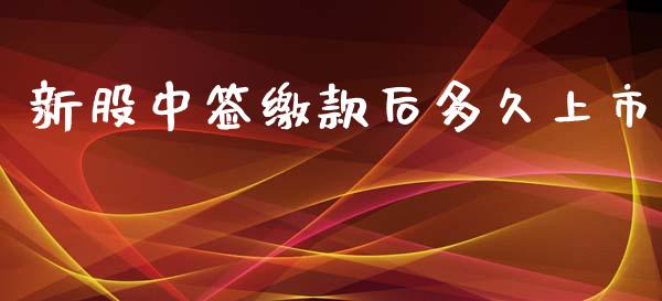 新股中签缴款后多久上市_https://m.gongyisiwang.com_商业资讯_第1张