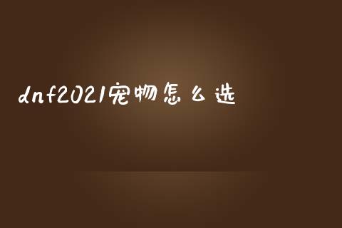 dnf2021宠物怎么选_https://m.gongyisiwang.com_商业资讯_第1张