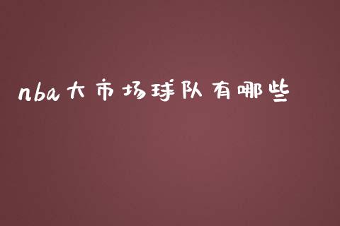 nba大市场球队有哪些_https://m.gongyisiwang.com_保险理财_第1张