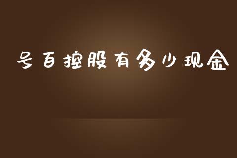 号百控股有多少现金_https://m.gongyisiwang.com_债券咨询_第1张