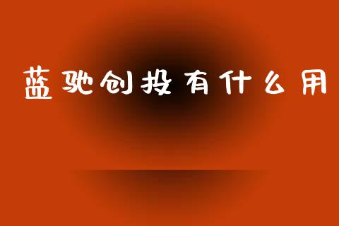 蓝驰创投有什么用_https://m.gongyisiwang.com_财经时评_第1张