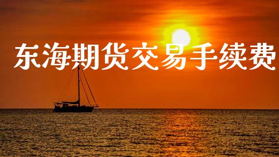 东海期货交易手续费_https://m.gongyisiwang.com_信托投资_第1张