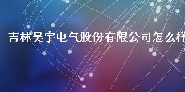 吉林昊宇电气股份有限公司怎么样_https://m.gongyisiwang.com_理财产品_第1张