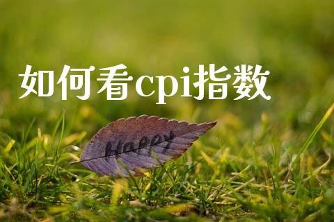 如何看cpi指数_https://m.gongyisiwang.com_理财投资_第1张