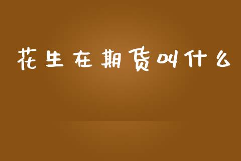 花生在期货叫什么_https://m.gongyisiwang.com_财经咨询_第1张