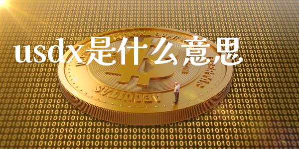 usdx是什么意思_https://m.gongyisiwang.com_债券咨询_第1张