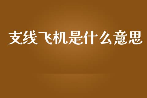 支线飞机是什么意思_https://m.gongyisiwang.com_财经时评_第1张