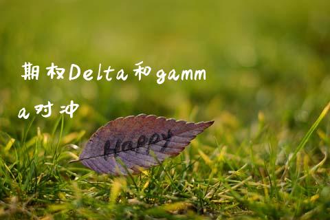 期权Delta和gamma对冲_https://m.gongyisiwang.com_商业资讯_第1张