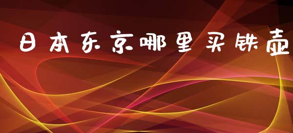 日本东京哪里买铁壶_https://m.gongyisiwang.com_财经咨询_第1张