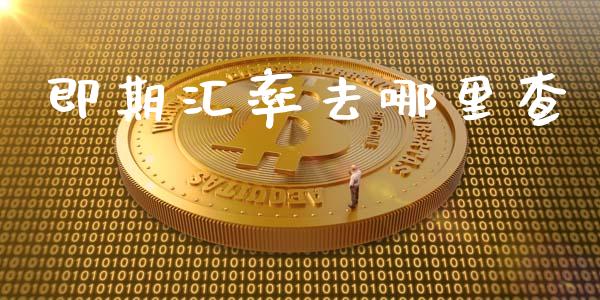 即期汇率去哪里查_https://m.gongyisiwang.com_商业资讯_第1张