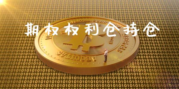 期权权利仓持仓_https://m.gongyisiwang.com_理财产品_第1张