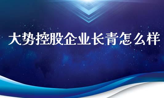 大势控股企业长青怎么样_https://m.gongyisiwang.com_债券咨询_第1张