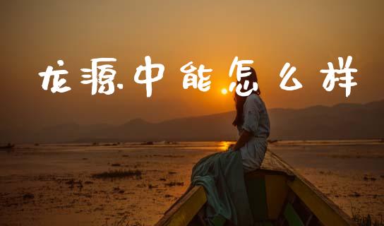 龙源中能怎么样_https://m.gongyisiwang.com_财经时评_第1张