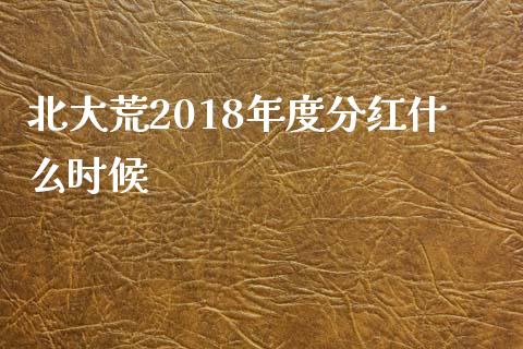 北大荒2018年度分红什么时候_https://m.gongyisiwang.com_财经咨询_第1张