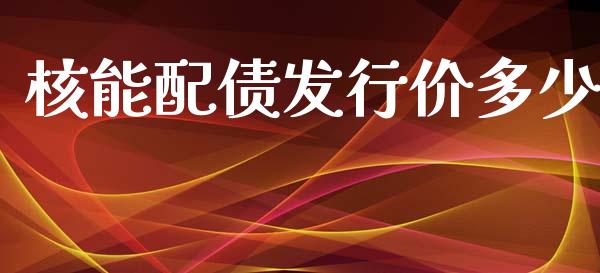 核能配债发行价多少_https://m.gongyisiwang.com_财经咨询_第1张