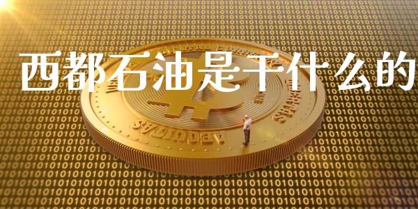 西都石油是干什么的_https://m.gongyisiwang.com_商业资讯_第1张