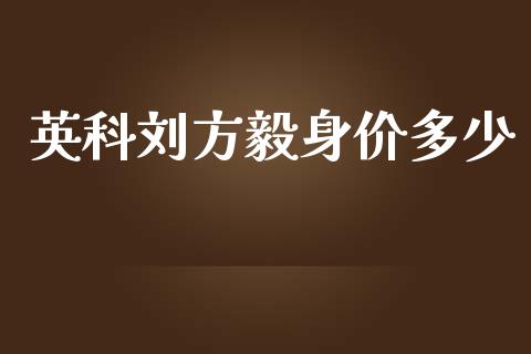 英科刘方毅身价多少_https://m.gongyisiwang.com_理财投资_第1张