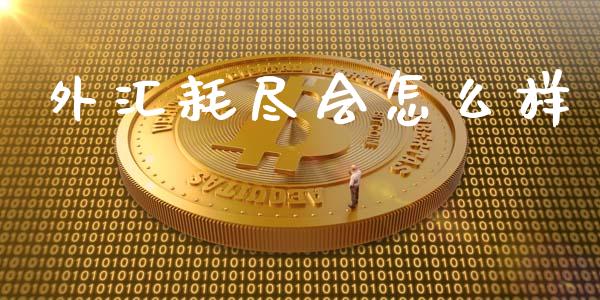 外汇耗尽会怎么样_https://m.gongyisiwang.com_保险理财_第1张