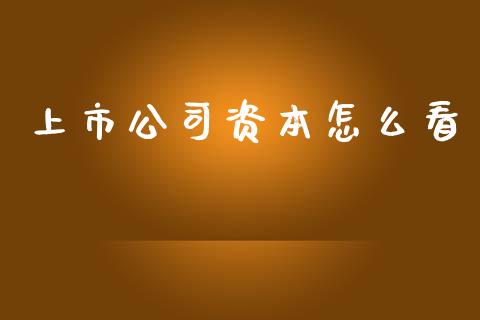 上市公司资本怎么看_https://m.gongyisiwang.com_信托投资_第1张