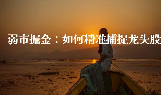 弱市掘金：如何精准捕捉龙头股_https://m.gongyisiwang.com_理财产品_第1张