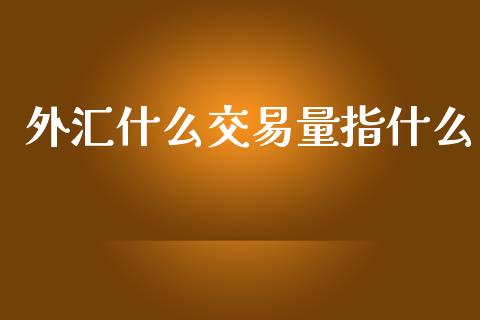 外汇什么交易量指什么_https://m.gongyisiwang.com_保险理财_第1张