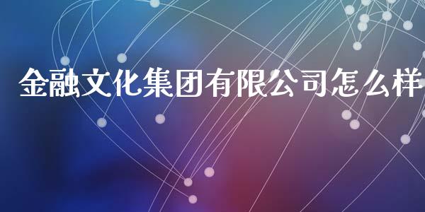 金融文化集团有限公司怎么样_https://m.gongyisiwang.com_商业资讯_第1张