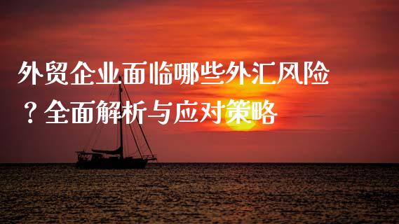 外贸企业面临哪些外汇风险？全面解析与应对策略_https://m.gongyisiwang.com_商业资讯_第1张